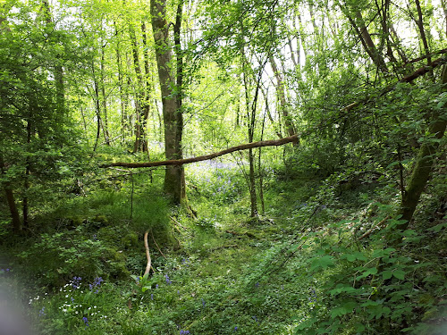 attractions Bois de la Barre La Ferté-sous-Jouarre