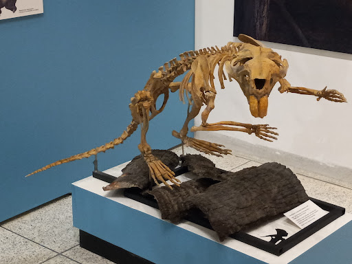 Museum «New Jersey State Museum», reviews and photos, 205 W State St, Trenton, NJ 08608, USA