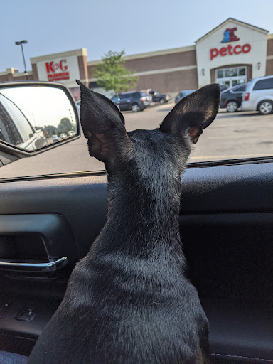 Pet Supply Store «Petco Animal Supplies», reviews and photos, 2005 W 8 Mile Rd, Detroit, MI 48203, USA