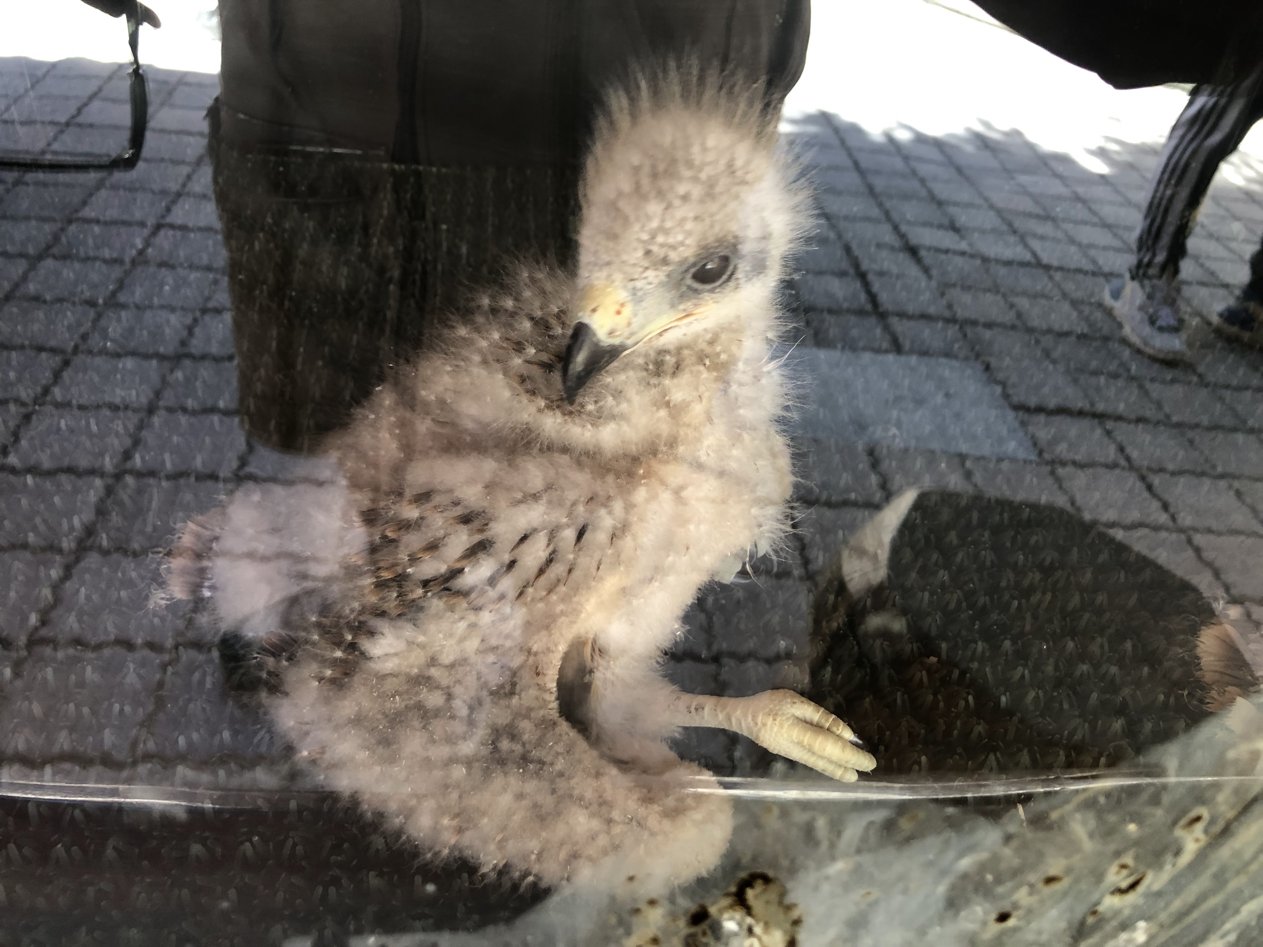 Photo n° 1 de l'avis de Florian. fait le 07/08/2023 à 12:51