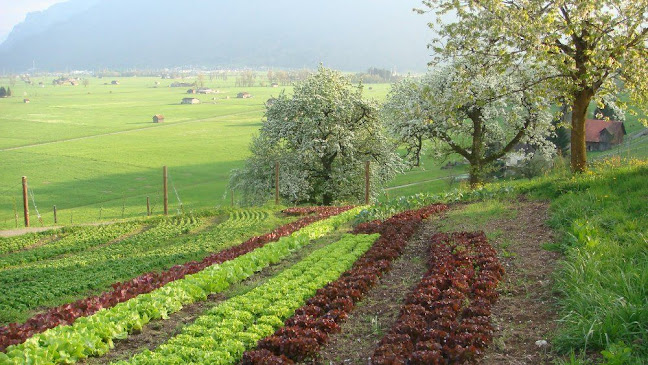 Kommentare und Rezensionen über Bio Landwirtschaftsbetrieb Alfred Jud