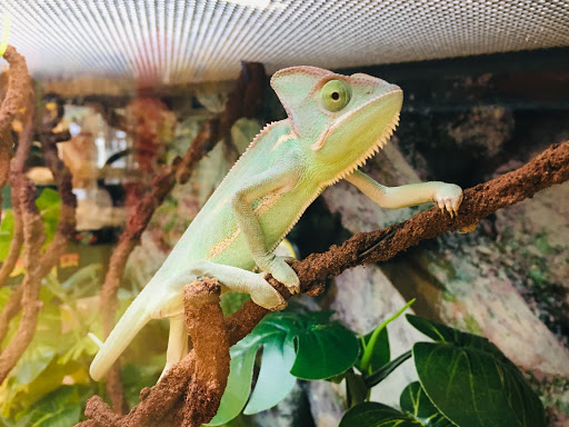 Pet Supply Store «Petco Animal Supplies», reviews and photos, 1391 NJ-35, Middletown, NJ 07748, USA