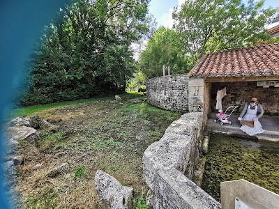 PINSENELLE à Aulnay