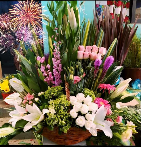 FLORISTERÍA LA AMISTAD – Tecozautla