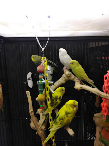 Pet Supply Store «PetSmart», reviews and photos, 2201 Gallatin Pike N, Madison, TN 37115, USA