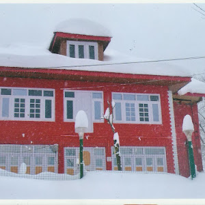 Angel's Inn Pahalgam photo