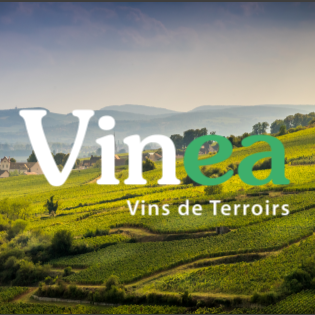 Vinea - Vins de Terroirs