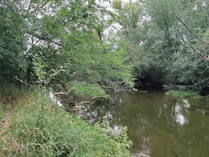 Whitewater Creek Nature Area