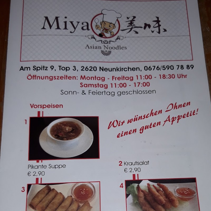 Miya Asia Noodles