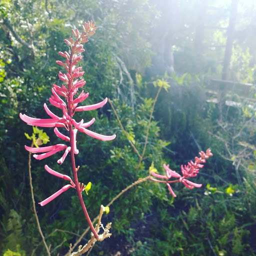 County Government Office «Brevard County Enchanted Forest Sanctuary», reviews and photos, 444 Columbia Blvd, Titusville, FL 32780, USA