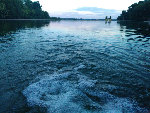 Art Museum «Cincinnati Art Museum», reviews and photos, 953 Eden Park Dr, Cincinnati, OH 45202, USA