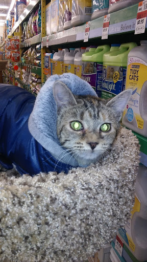 Pet Supply Store «Pet Supplies Plus», reviews and photos, 690 N State St, Westerville, OH 43082, USA