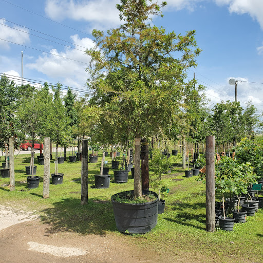 Plant Nursery «HOUSTON PLANTS & GARDEN WORLD», reviews and photos, 16726 North Fwy, Houston, TX 77090, USA