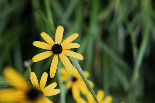 Aptive Environmental image