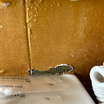 Photo n°4 de l'avis de Samara.o fait le 09/03/2024 à 13:43 sur le  Garden Blue à Florence