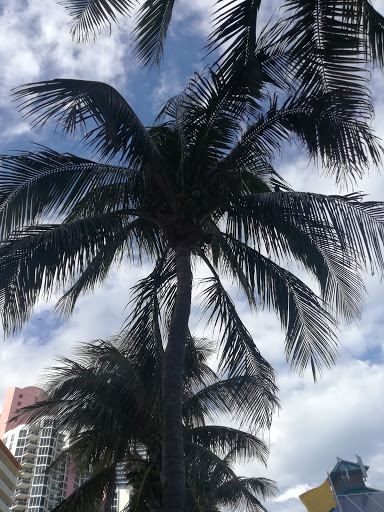 Park «Heritage Park», reviews and photos, 19200 Collins Ave, Sunny Isles Beach, FL 33160, USA