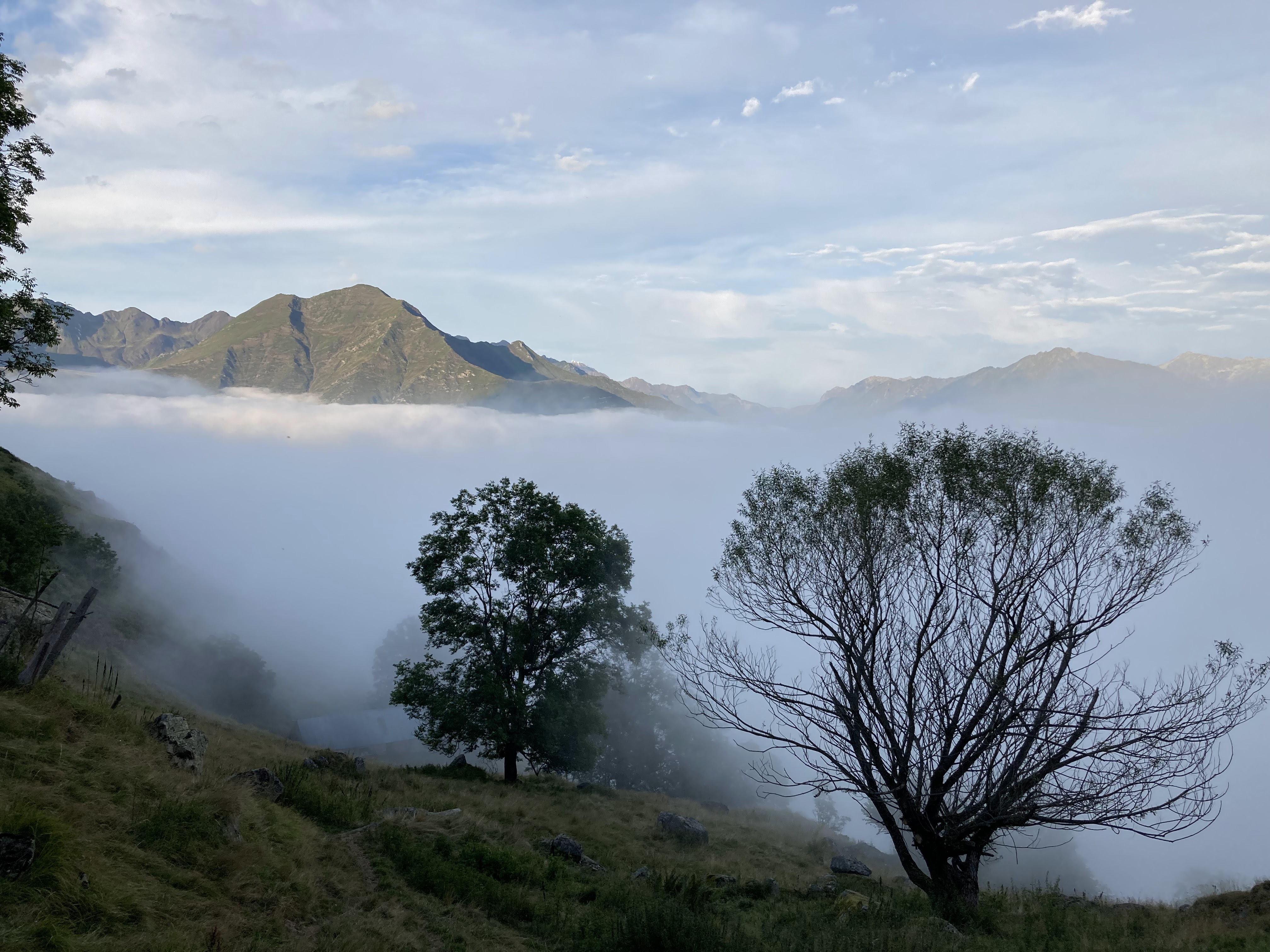 Photo n° 4 de l'avis de Huu.h fait le 25/08/2021 à 06:50