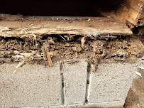 All Track Exterminators - Photo 5 - Car repair in Pasadena, CA, Pasadena