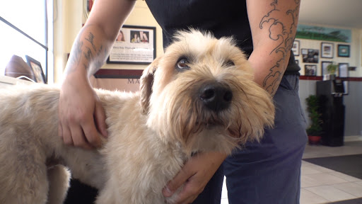 Auto Repair Shop «Elite Auto Repair», reviews and photos, 1587 Post Rd, Warwick, RI 02888, USA