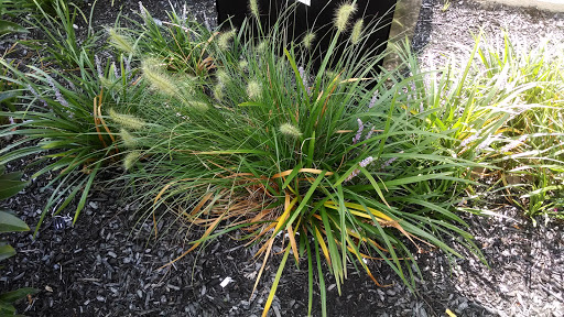 Coffee Shop «Starbucks», reviews and photos, 178 NJ-35, Eatontown, NJ 07724, USA