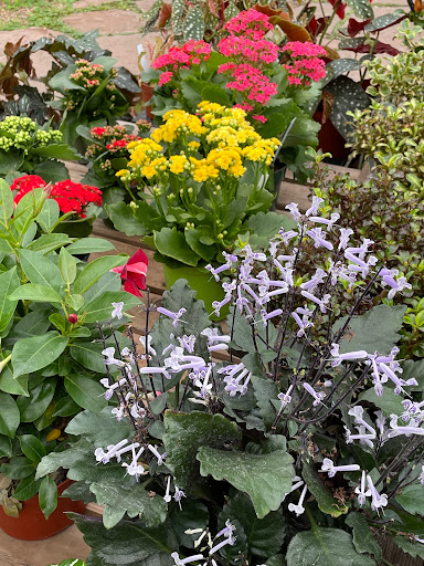 Plant Nursery «Sturtz & Copeland Florist & Greenhouses», reviews and photos, 2851 Valmont Rd, Boulder, CO 80301, USA