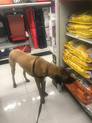 Hardware Store «Pittsburg Ace Hardware», reviews and photos, 125 E Leland Rd, Pittsburg, CA 94565, USA