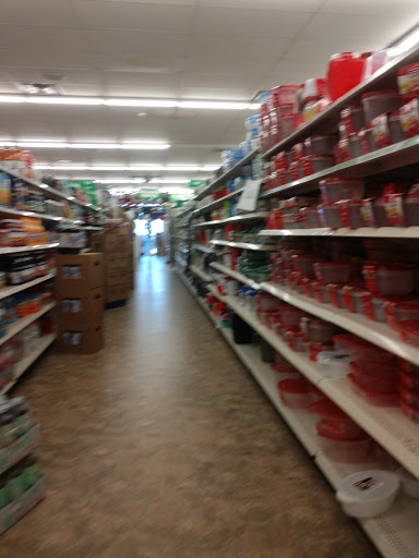 Dollar Store «Dollar Tree», reviews and photos, 8491 Grand River Ave, Brighton, MI 48116, USA