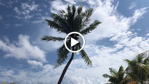 Travel Agency «Red Travel / Red Amore Travel», reviews and photos, 754 N Court St, Medina, OH 44256, USA