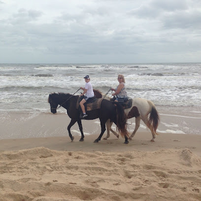 Beach Bum Horse Rides