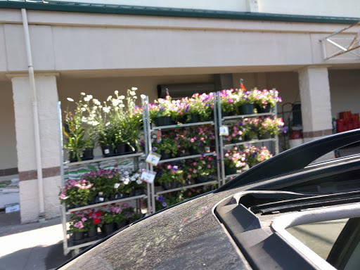 Department Store «Bi-Mart», reviews and photos, 3003 Addy St, Washougal, WA 98671, USA