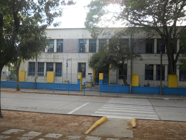 Opiniones de Escuela Primaria N°50 José Gervasio Artigas en San José de Mayo - Escuela