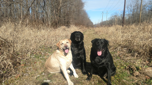 Pet Supply Store «PetSmart», reviews and photos, 3 McKenna Rd, Arden, NC 28704, USA