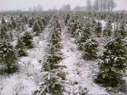 Adams Tree Farm