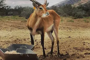 Bhejane Game Reserve image