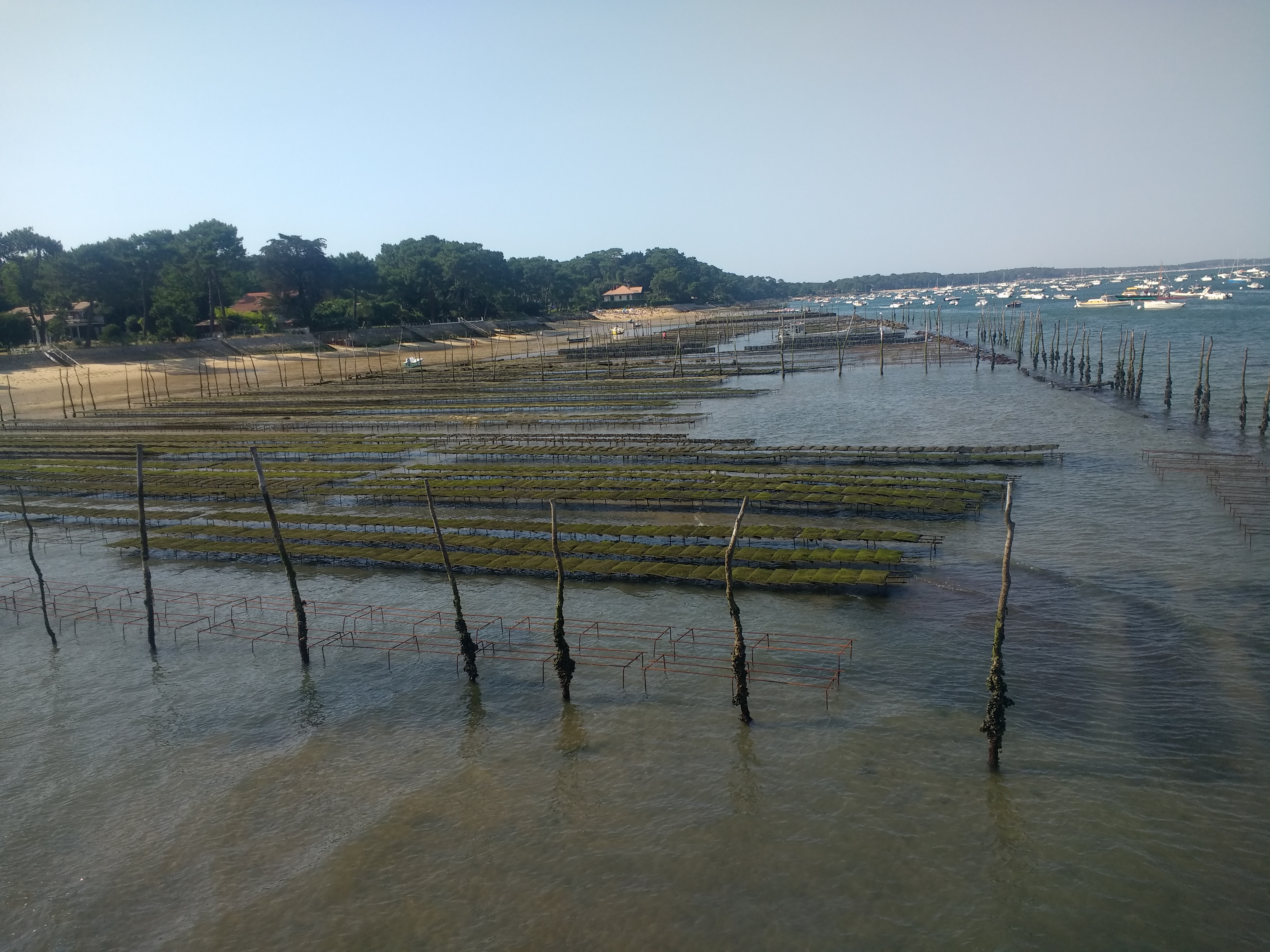 Photo n° 1 de l'avis de Cyrill. fait le 14/07/2019 à 17:02