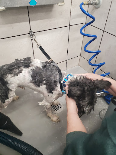 Pet Supply Store «Pet Supplies Plus», reviews and photos, 13360 W 87th St Pkwy, Lenexa, KS 66215, USA