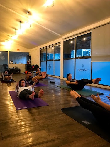 Opiniones de Kula Yoga Chile en Las Condes - Centro de yoga