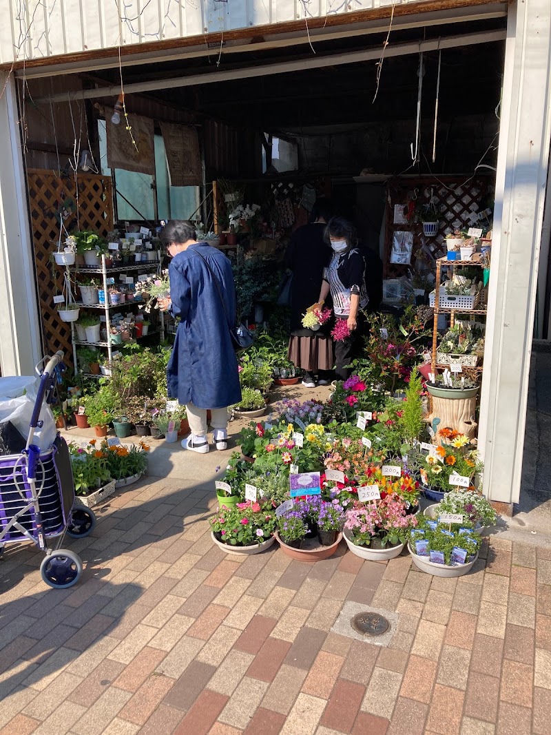 FlowerShop HAYAKAWA