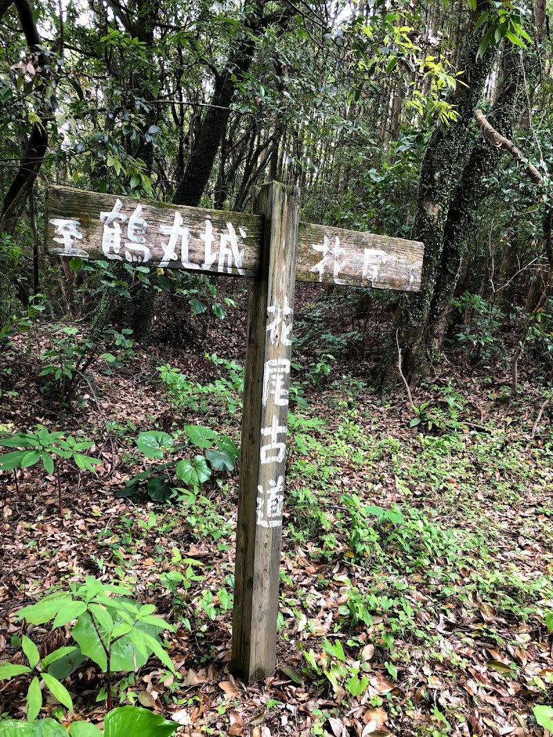 花尾古道と竹林