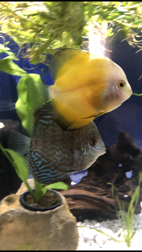 Pet Supply Store «Petco Animal Supplies», reviews and photos, 891 NE D St, Grants Pass, OR 97526, USA