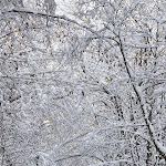 Photo n°2 de l'avis de giannis.a fait le 05/12/2023 à 20:31 sur le  ACHAT Hotel Corbin München Airport à Freising