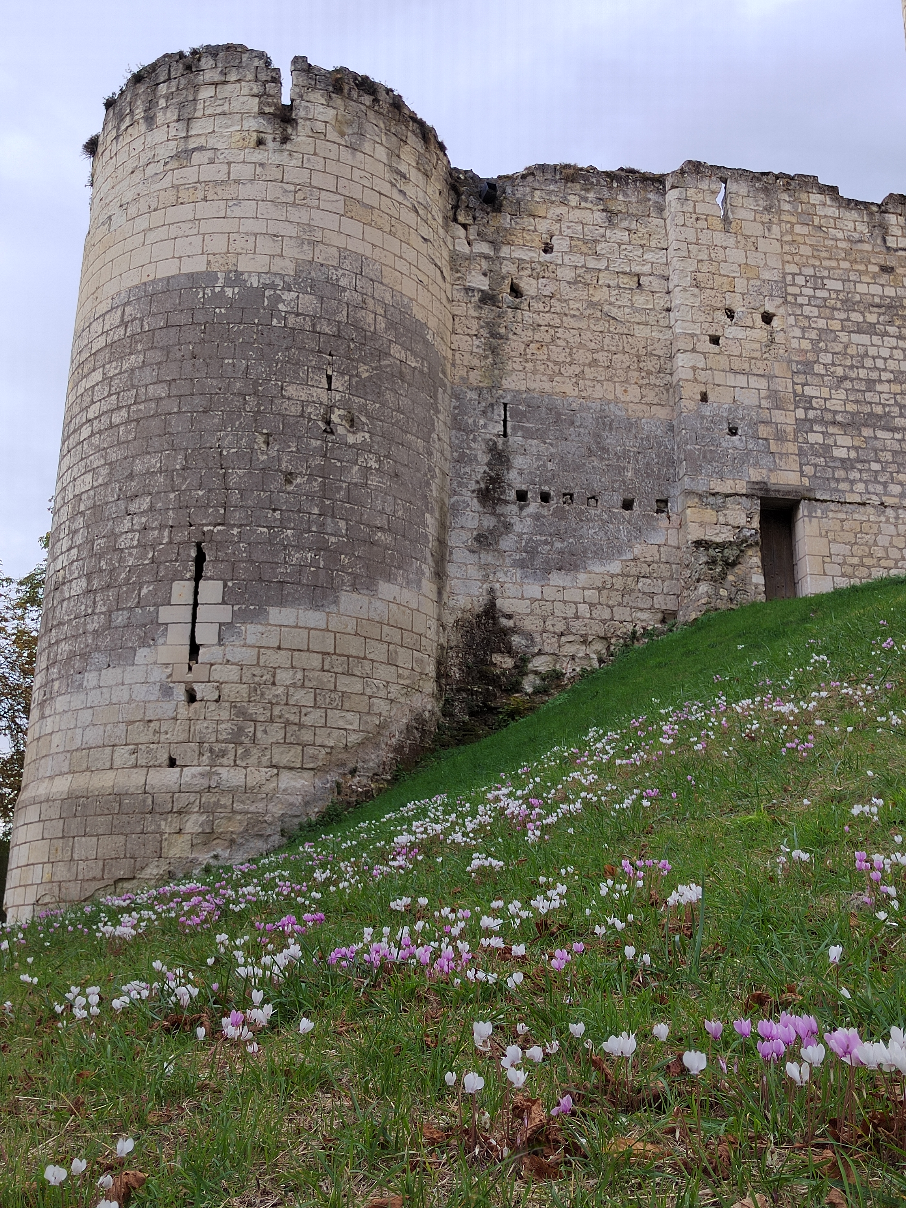 Photo n° 4 de l'avis de Yu.e fait le 27/09/2022 à 04:07