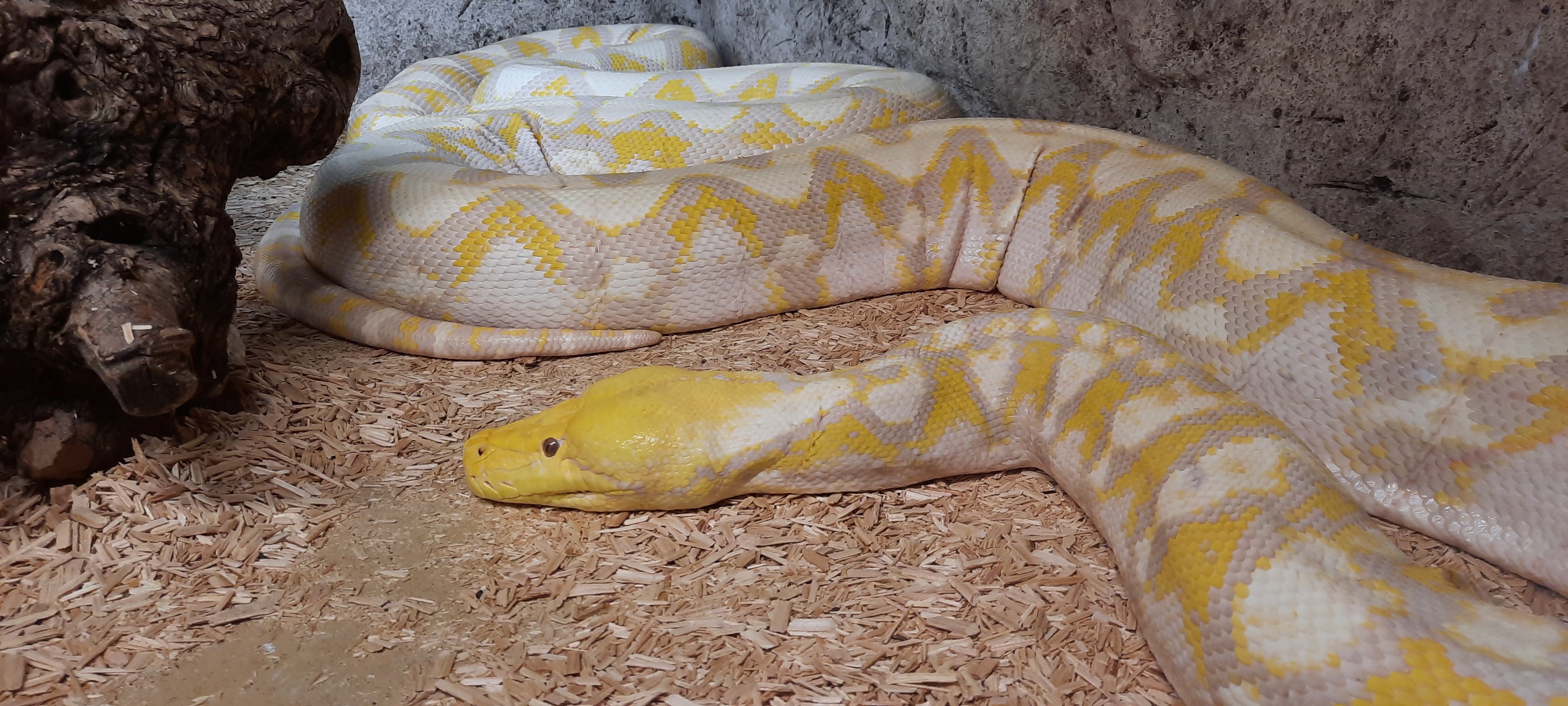 Photo n° 2 de l'avis de Hugo.i fait le 24/10/2021 à 16:24