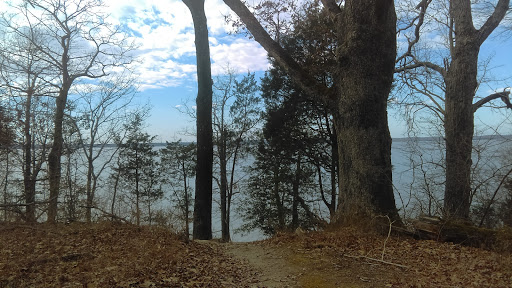 Park «Purse State Park», reviews and photos, 2750 Sweden Point Road, Marbury, MD 20658, USA