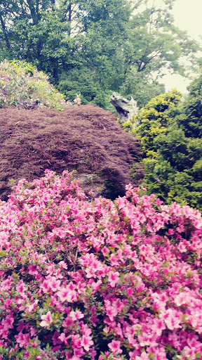 Community Center «SeaTac Community Center», reviews and photos, 13735 24th Ave S, SeaTac, WA 98168, USA