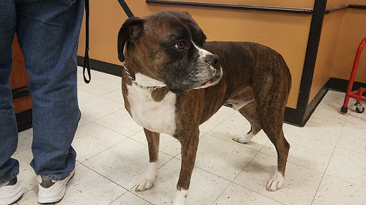 Pet Supply Store «PetSmart», reviews and photos, 2833 35th Ave, Greeley, CO 80634, USA