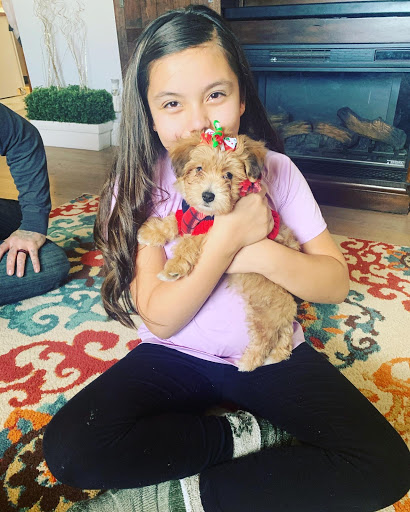 Pet Supply Store «Pet Ranch», reviews and photos, 3823 E 120th Ave, Denver, CO 80233, USA