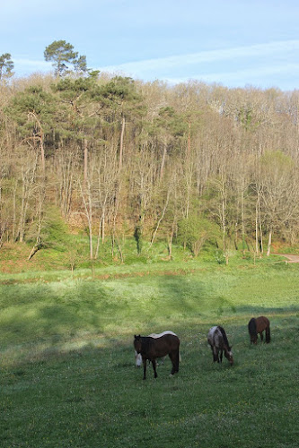 Ferme Equestre la Fontaine à Montcléra