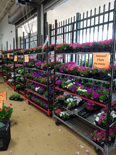 Produce Market «Produce Junction Inc», reviews and photos, 265 S Easton Rd, Glenside, PA 19038, USA