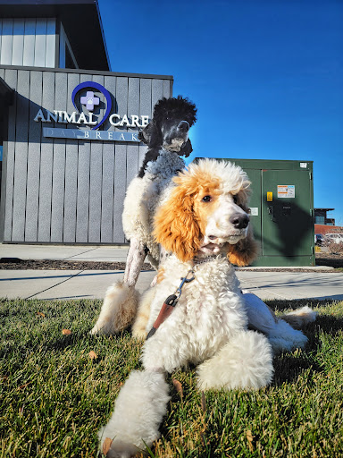 Animal Care Daybreak image
